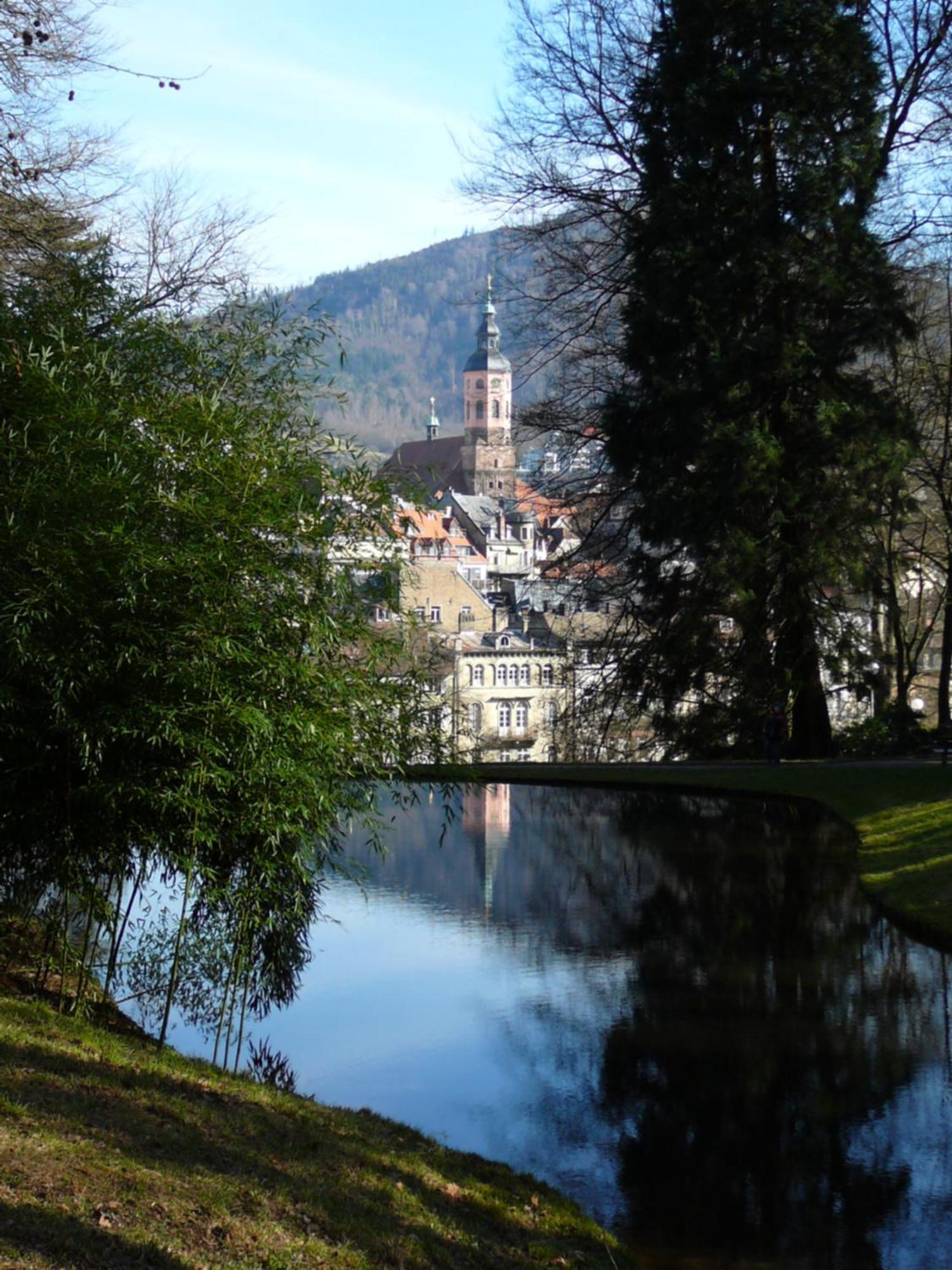Ferienwohnung Am Krippenhof Baden-Baden Dış mekan fotoğraf